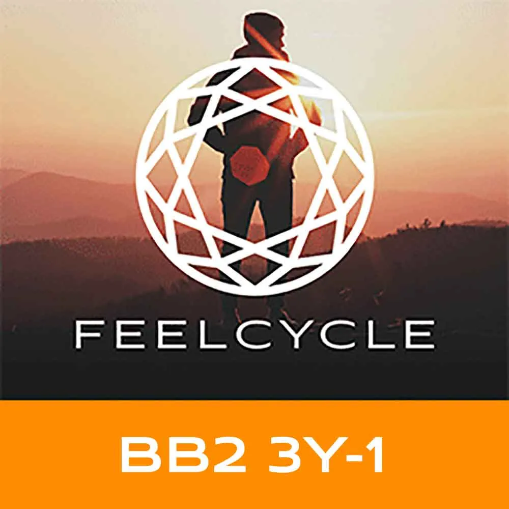 BB2 3Y-1