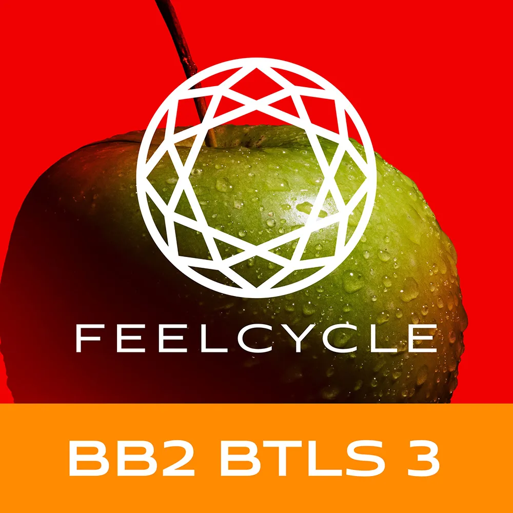 BB2 BTLS 3