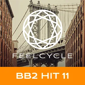 BB2 HIT 11