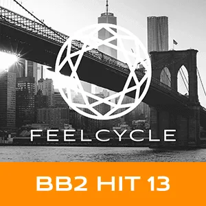 BB2 HIT 13