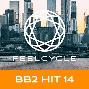 BB2 HIT 14
