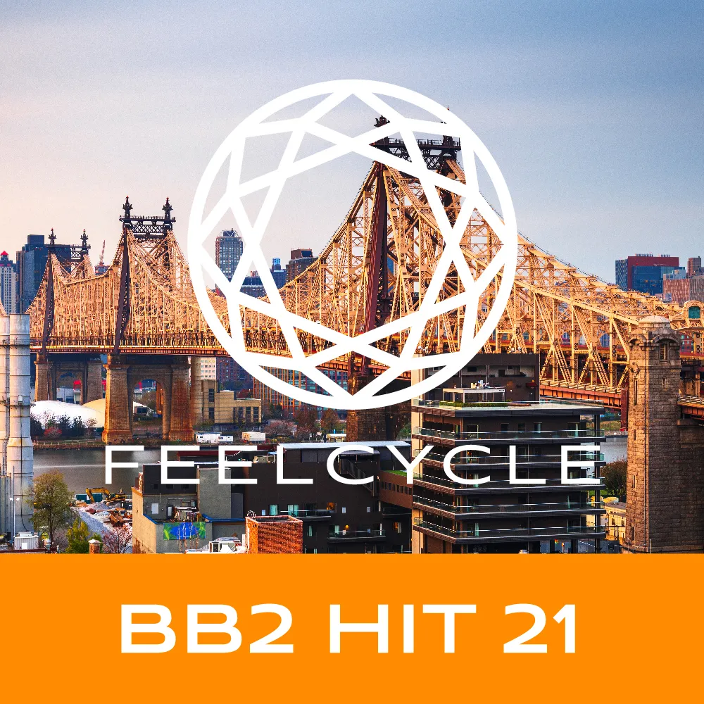 BB2 HIT 21