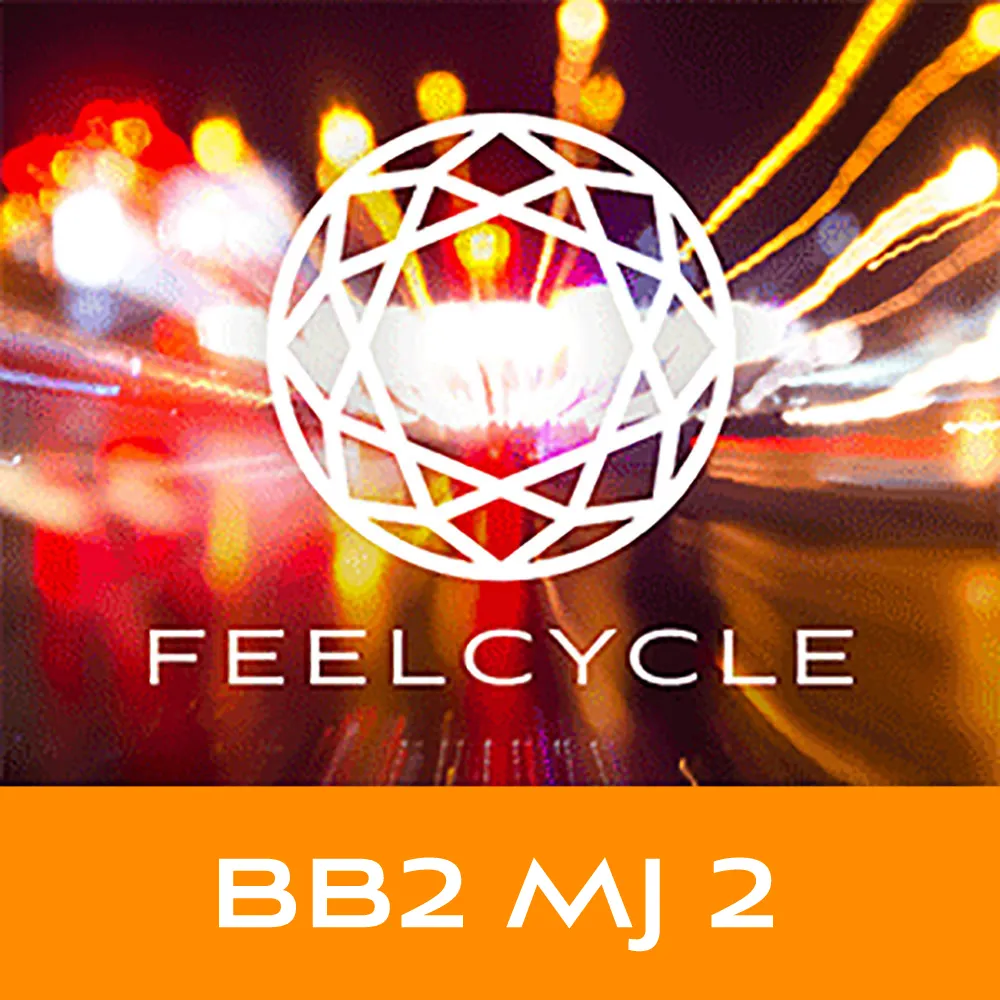 BB2 MJ2