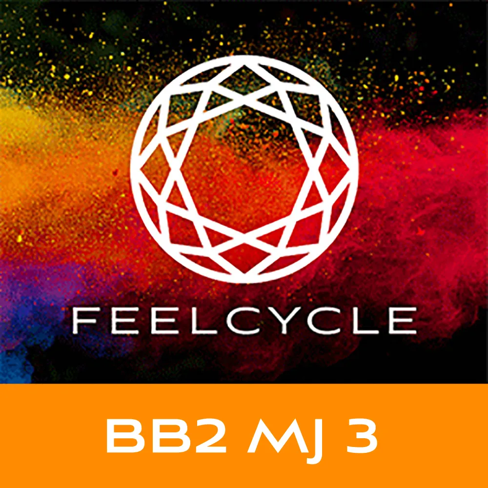 BB2 MJ3
