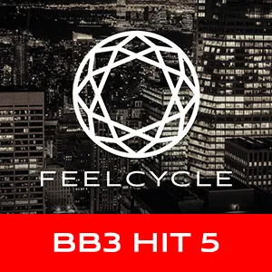 BB3 HIT 5