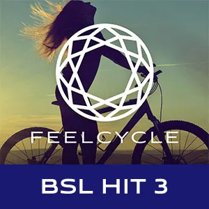 BSL HIT 3